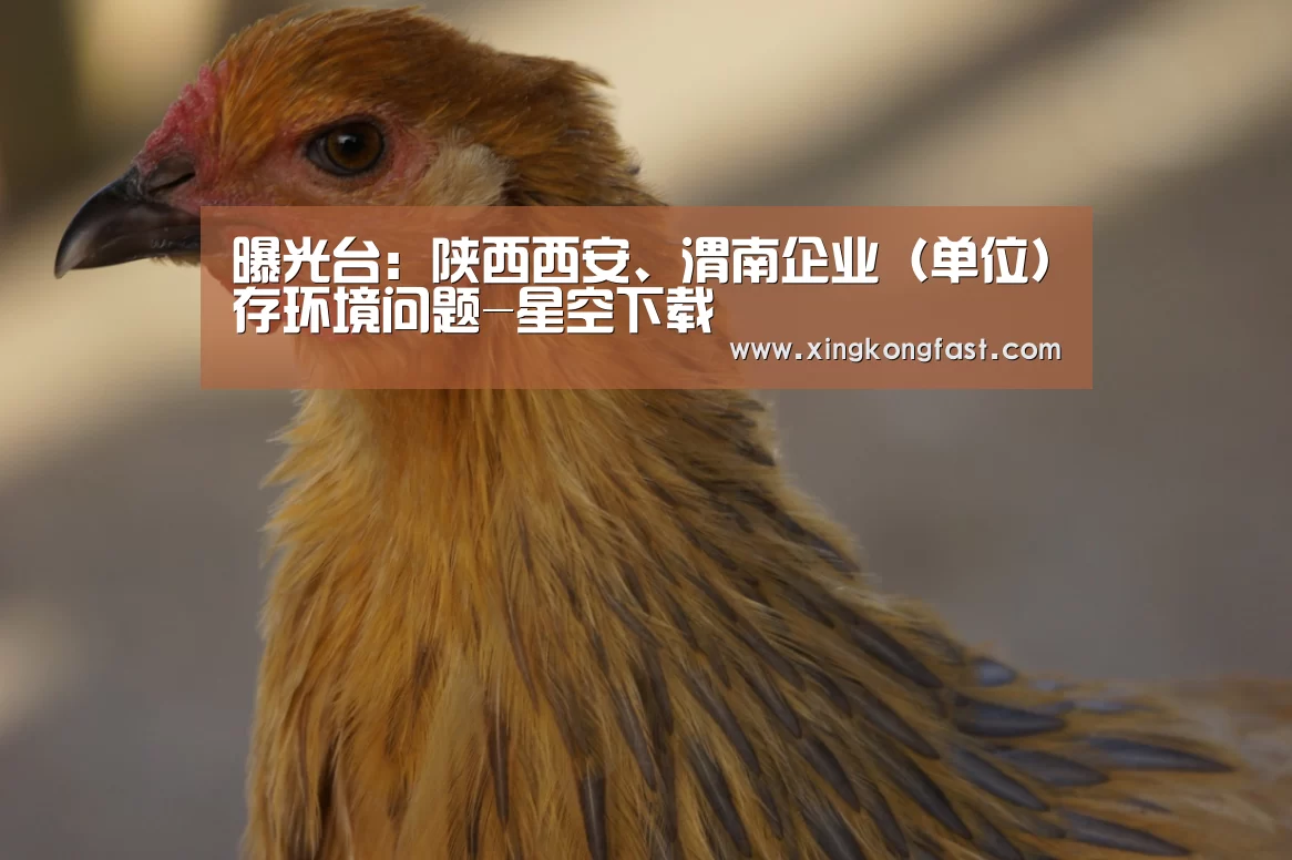 曝光台:陕西西安、渭南企业(单位)存环境问题-星空下载(图1) 星空体育