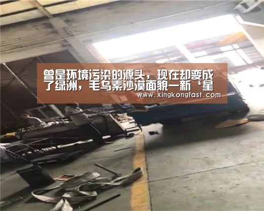 曾是环境污染的源头,现在却变成了绿洲,毛乌素沙漠面貌一新‘星空体育’(图1) 星空比分