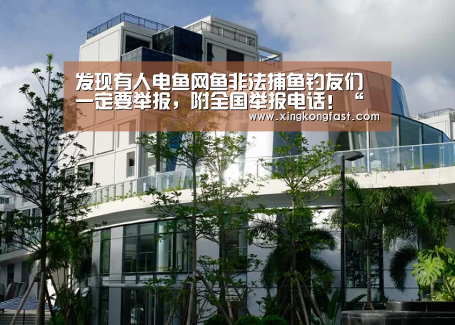 发现有人电鱼网鱼非法捕鱼钓友们一定要举报,附全国举报电话!“星空视讯”(图3) 星空下载