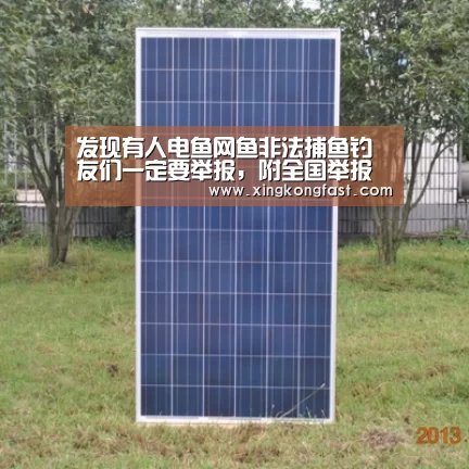 发现有人电鱼网鱼非法捕鱼钓友们一定要举报,附全国举报电话!“星空视讯”(图4) 星空比分