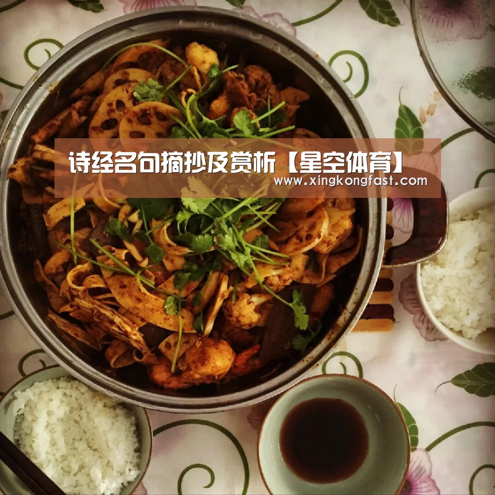 诗经名句摘抄及赏析【星空体育】(图1) 星空比分