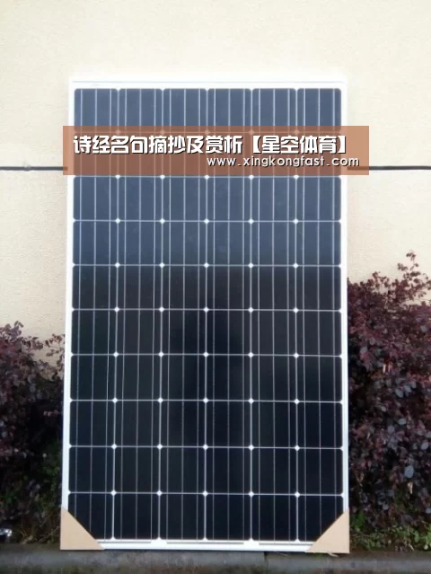 诗经名句摘抄及赏析【星空体育】(图3) 星空体育
